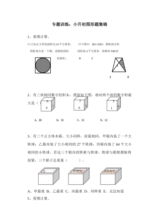 2025年小升初数学图形专题训练