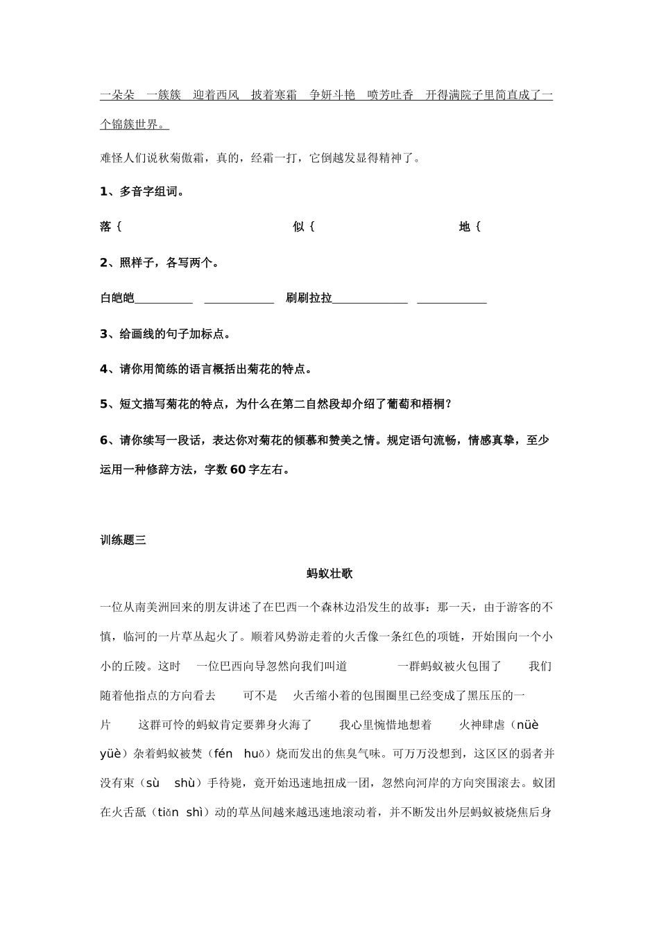 2025年小升初现代文阅读专题练习含答案_第3页