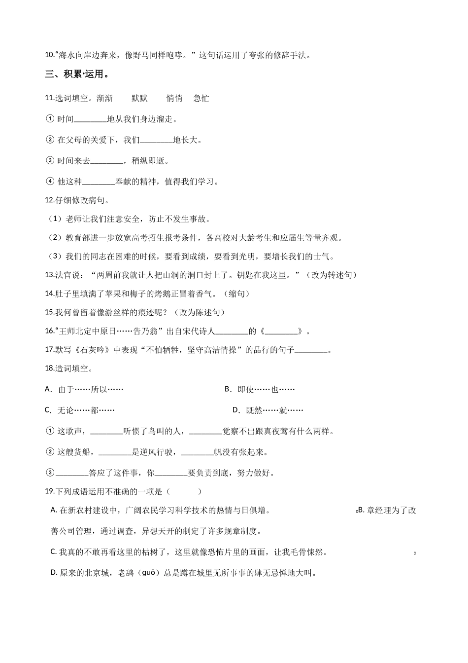 2025年小升初语文精选易错题集_第2页