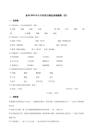 2025年小升初语文精选易错题集