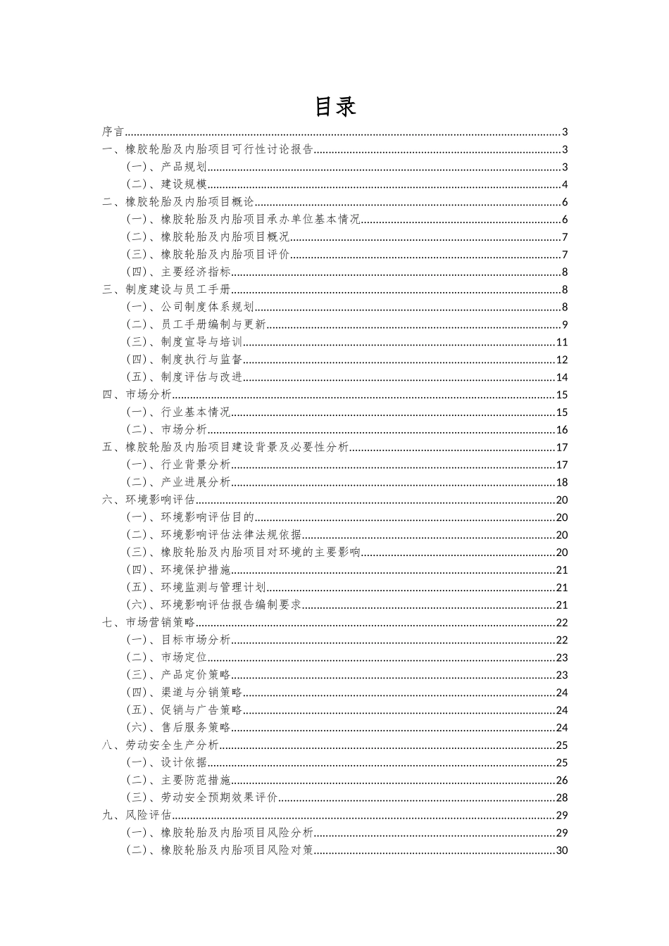 2025年橡胶轮胎及内胎项目投资分析及可行性报告_第2页