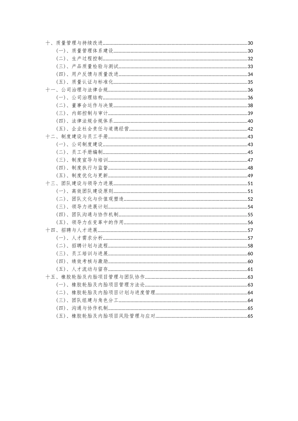 2025年橡胶轮胎及内胎项目投资分析及可行性报告_第3页