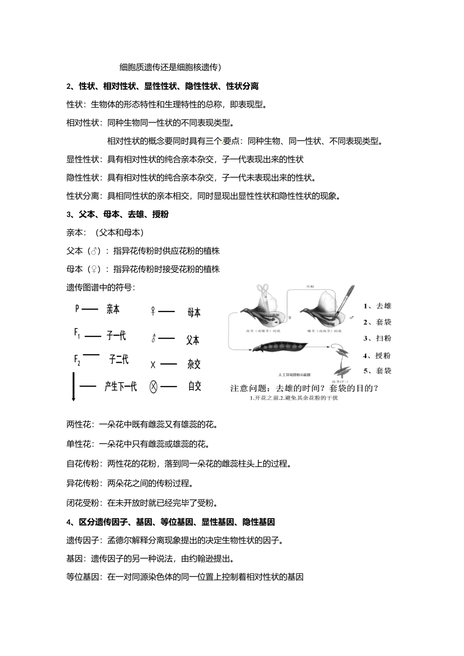 2025年知识点遗传的基本规律_第2页