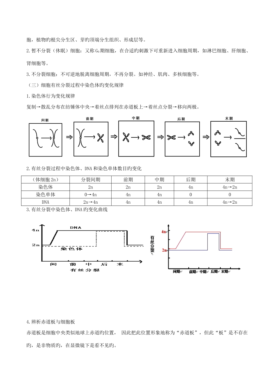 2025年细胞的生命历程知识点总结_第3页