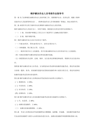 2025年锅炉处理作业人员考核作业指南