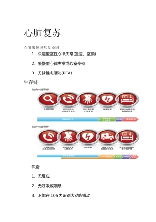 2025心肺复苏知识培训