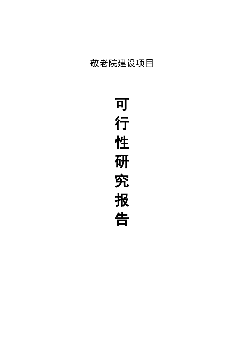 2025敬老院可行性研究报告_第1页