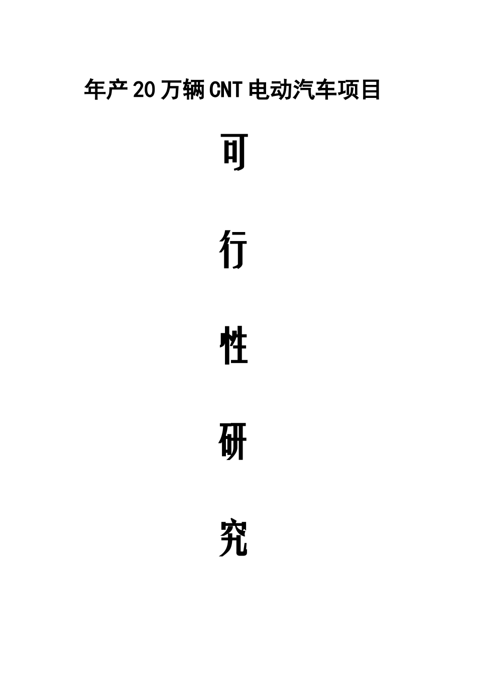 20万辆电动汽车项目可行性研究报告_第2页