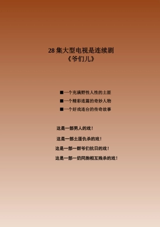 28集大型电视剧《爷们儿》市场可行性报告