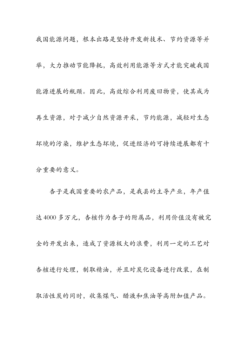3000吨杏核活性炭建设项目建议书-完整版_第2页