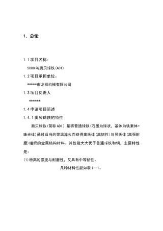 5000吨奥贝球铁项目可行性研究报告