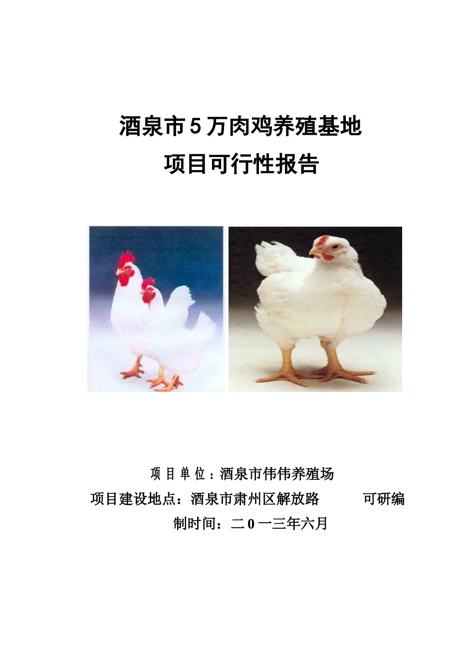 5万只肉鸡养殖基地项目可行性研究报告_第2页