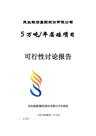 5万吨层硅助洗剂可研报告
