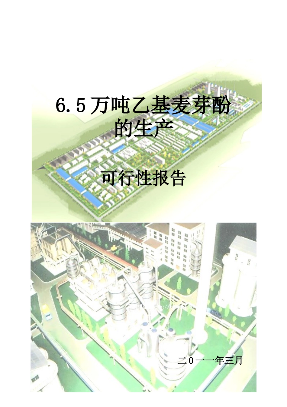 6.5万吨年乙基麦芽酚项目可行性研究报告_第2页