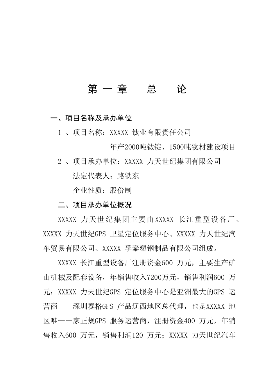 XXXXX钛业可行性分析报告_第2页