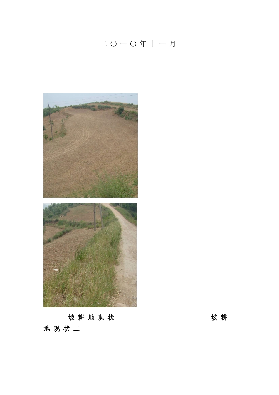 xx河中段综合治理工程项目可行性研究报告_第3页