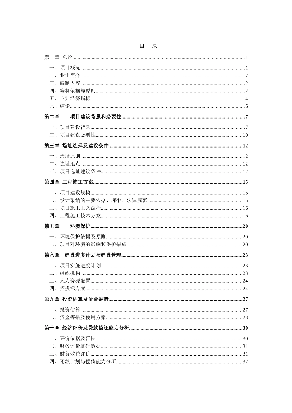 XX镇实施城镇规划建设项目可行性研究报告_第1页