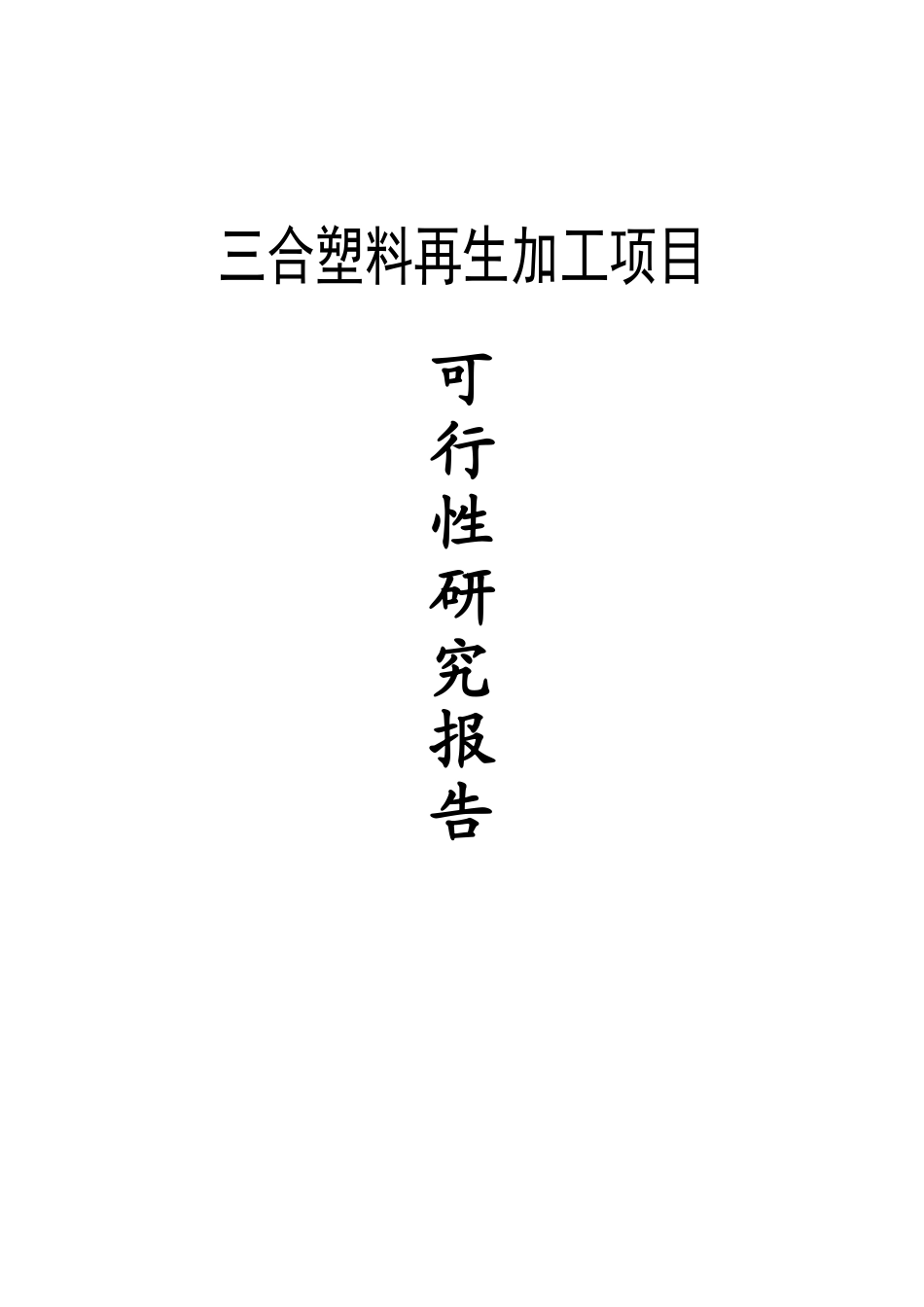 三合塑料颗粒项目可行性研究报告_第2页