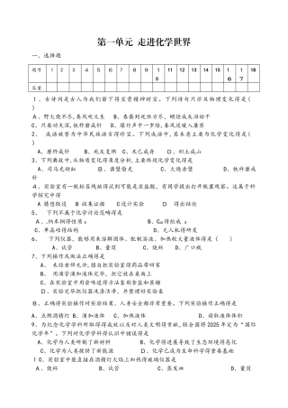 上学期九年级化学期中复习卷 