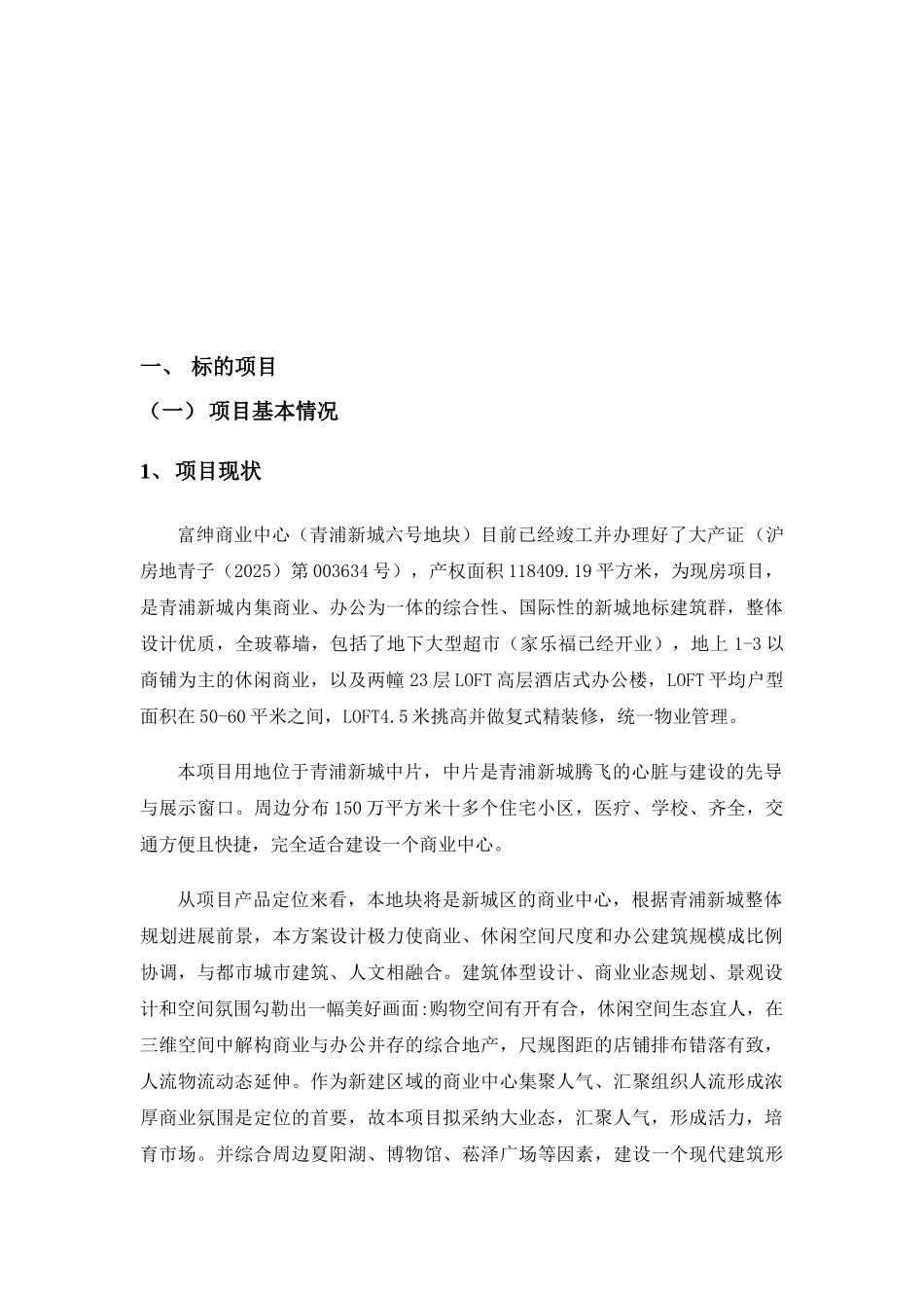 上海富绅中心项目可行性研究报告_第2页