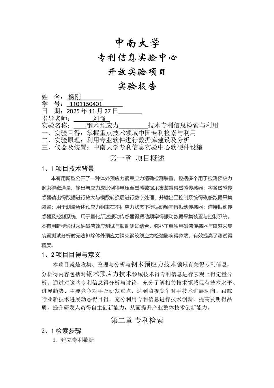 专利分析报告_第1页