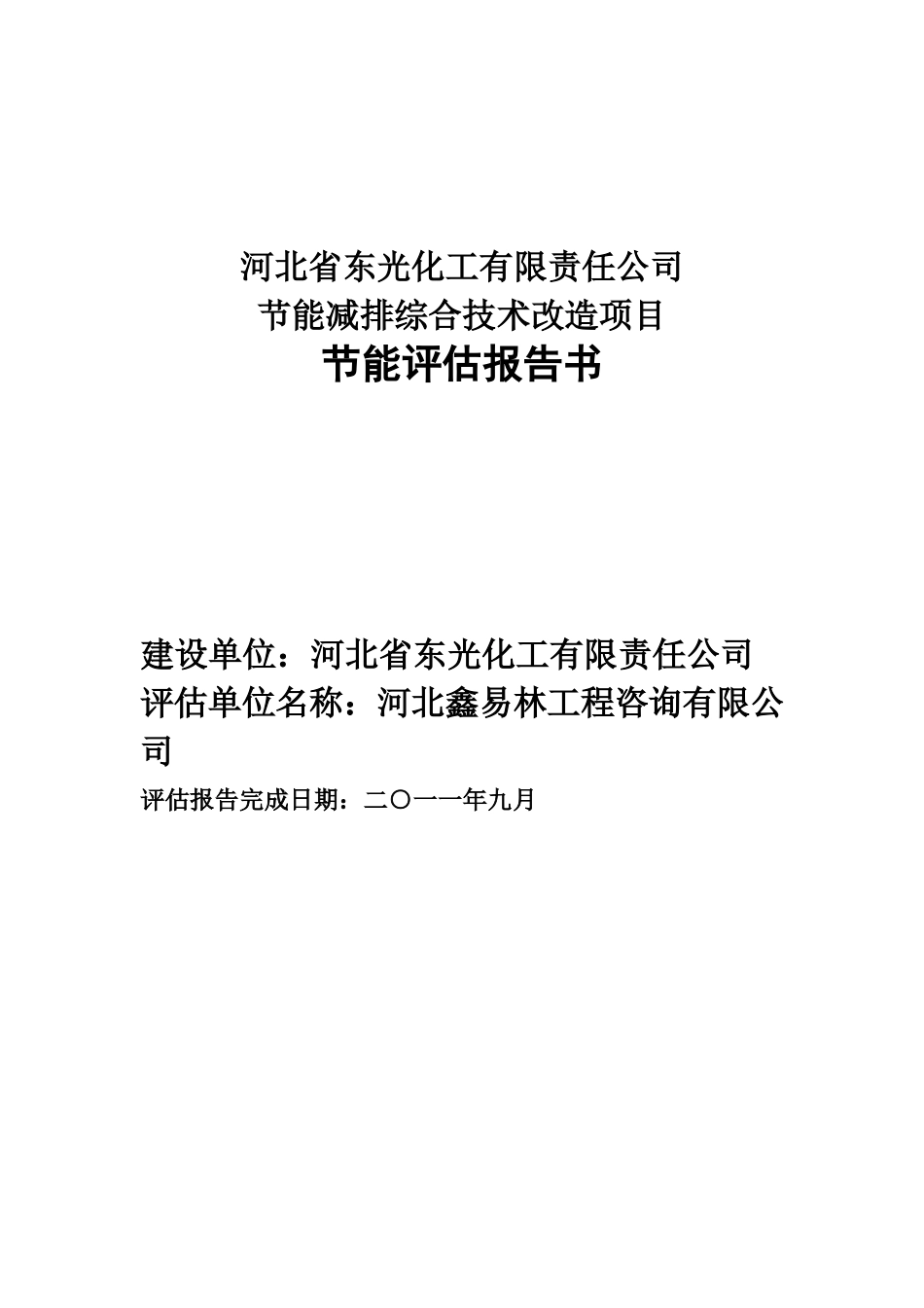 东光化工有限责任公司节能减排综合技术改造项目节能评估报告书_第2页