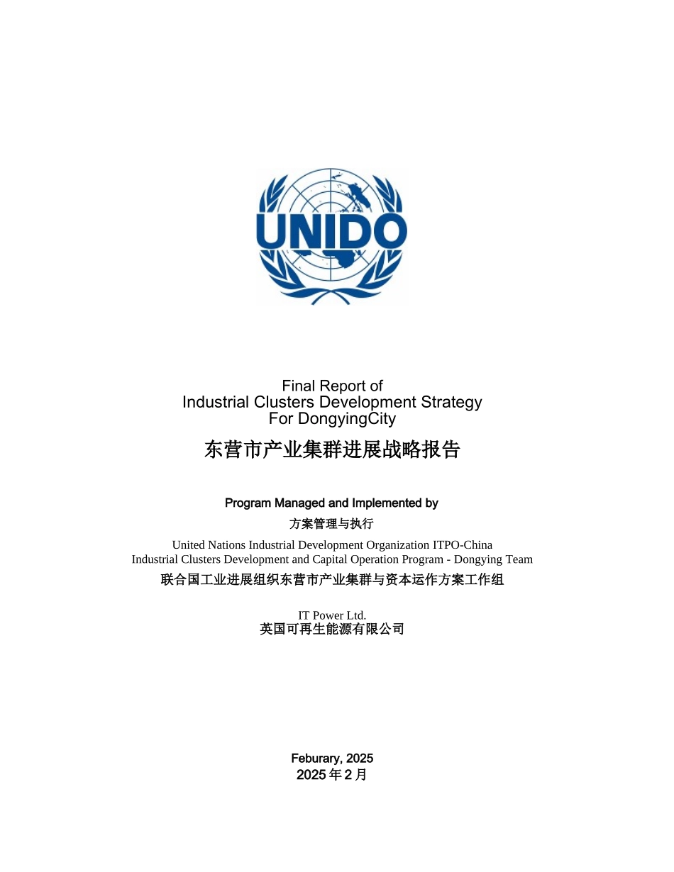 东营新能源产业集群与资本运作项目产业研究报告_第2页
