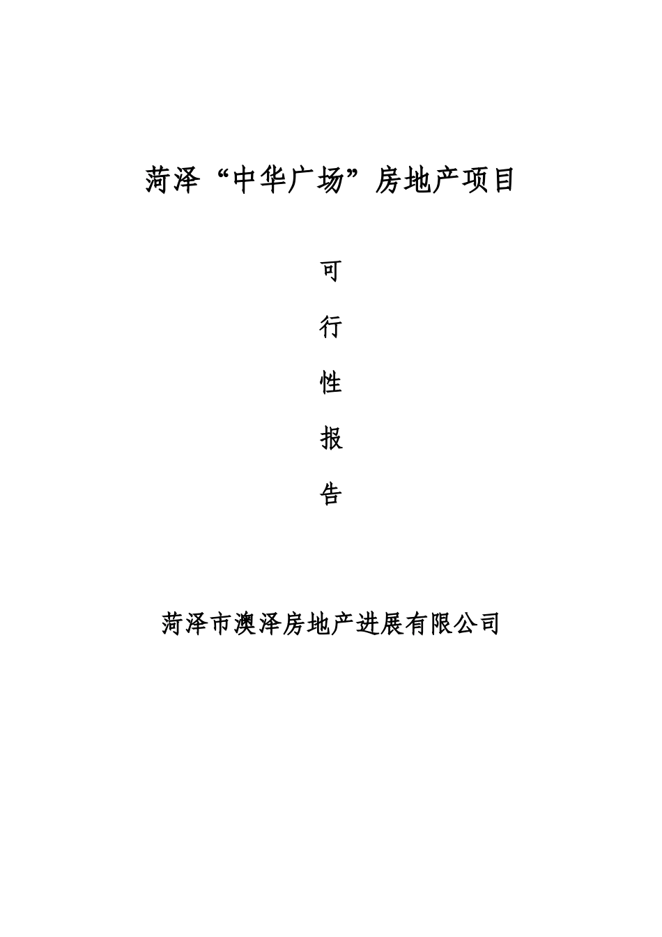 中华广场房地产项目可行性研究报告_第2页