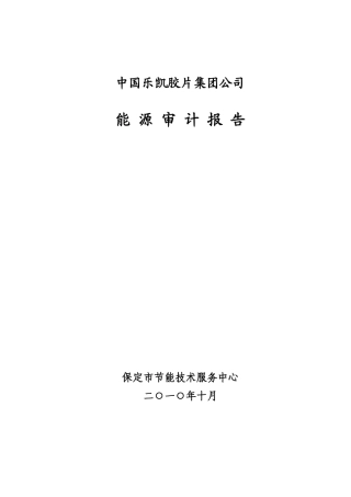 中国乐凯胶片集团公司能源审计报告