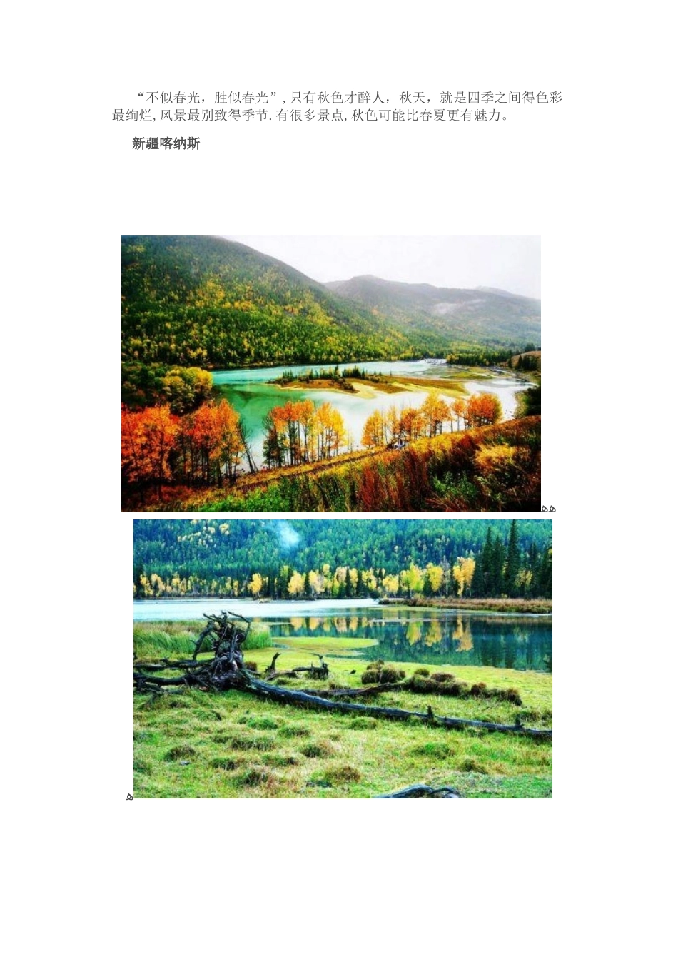 中国秋色最美的20个地方_第1页