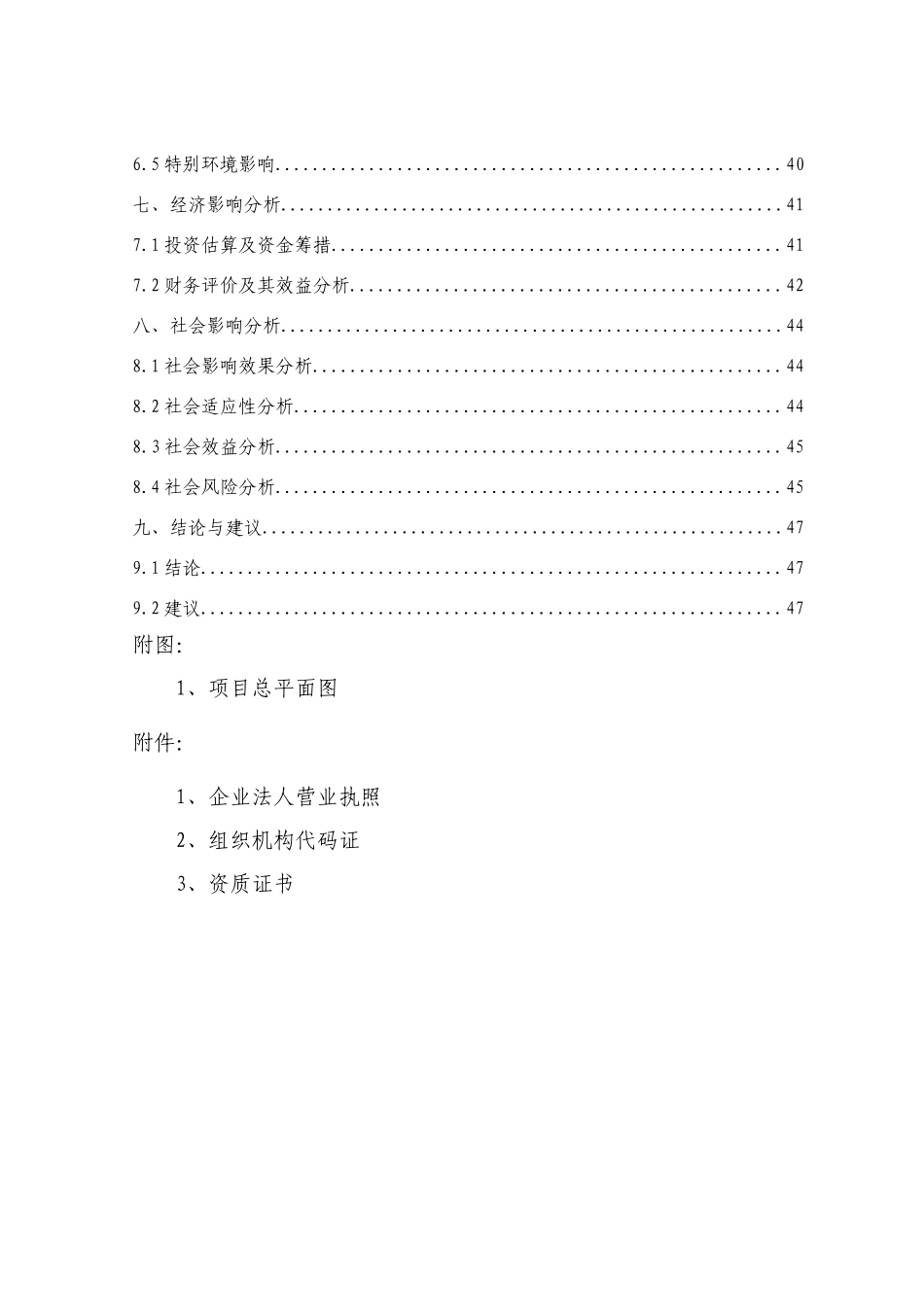 中央广场建设项目申请报告_第2页