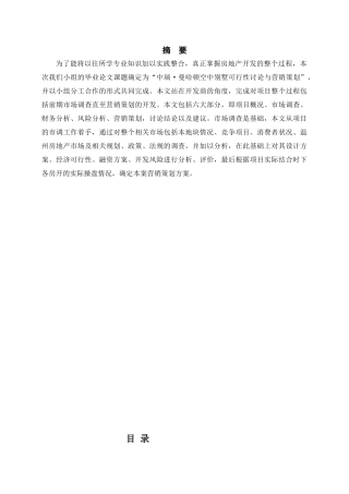 中瑞.曼哈顿空中别墅可行性研究报告