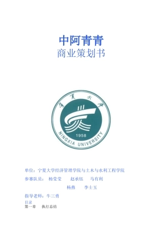 中阿青青商业策划书