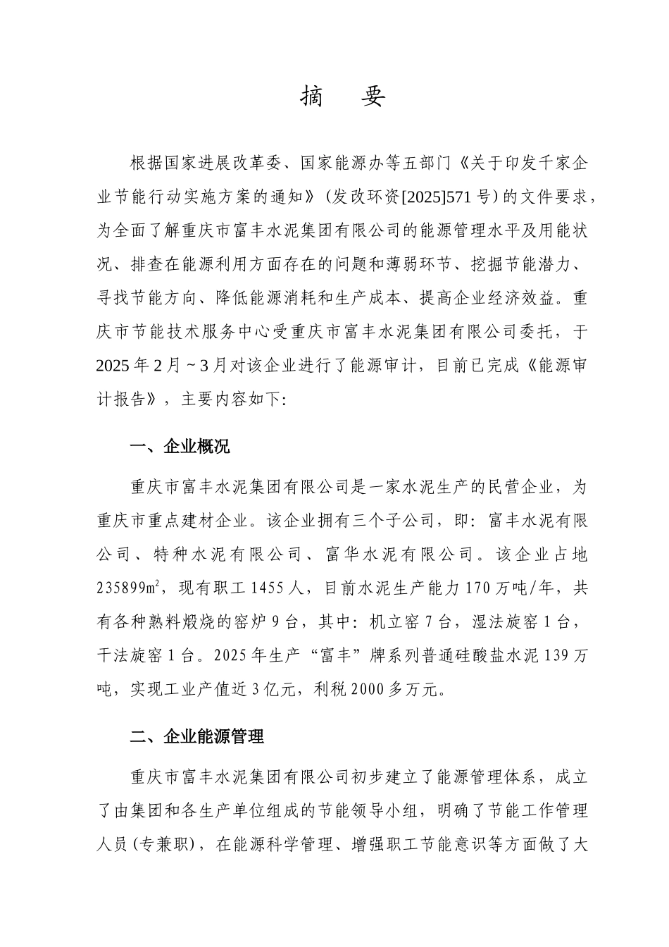 丰富水泥能源审计报告大学论文_第3页