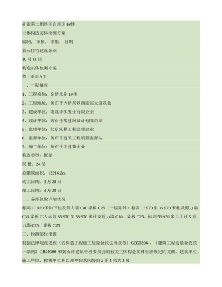 主体结构实体检测方案