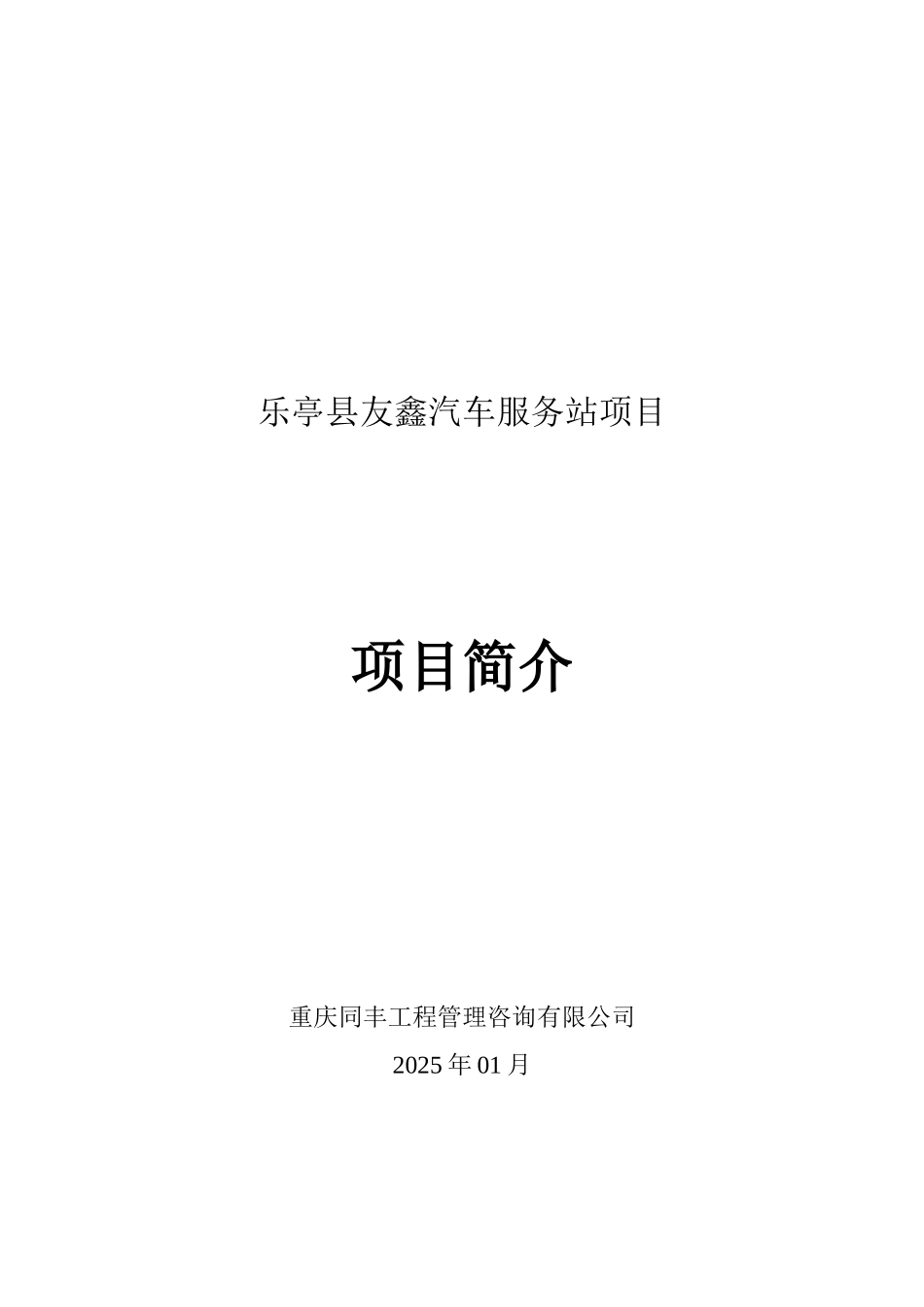 乐亭县友鑫汽车服务站项目可行性研究报告_第2页