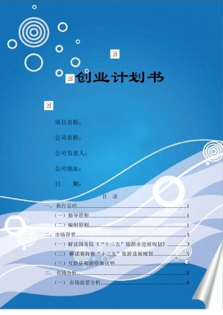 乡村旅游创业计划书