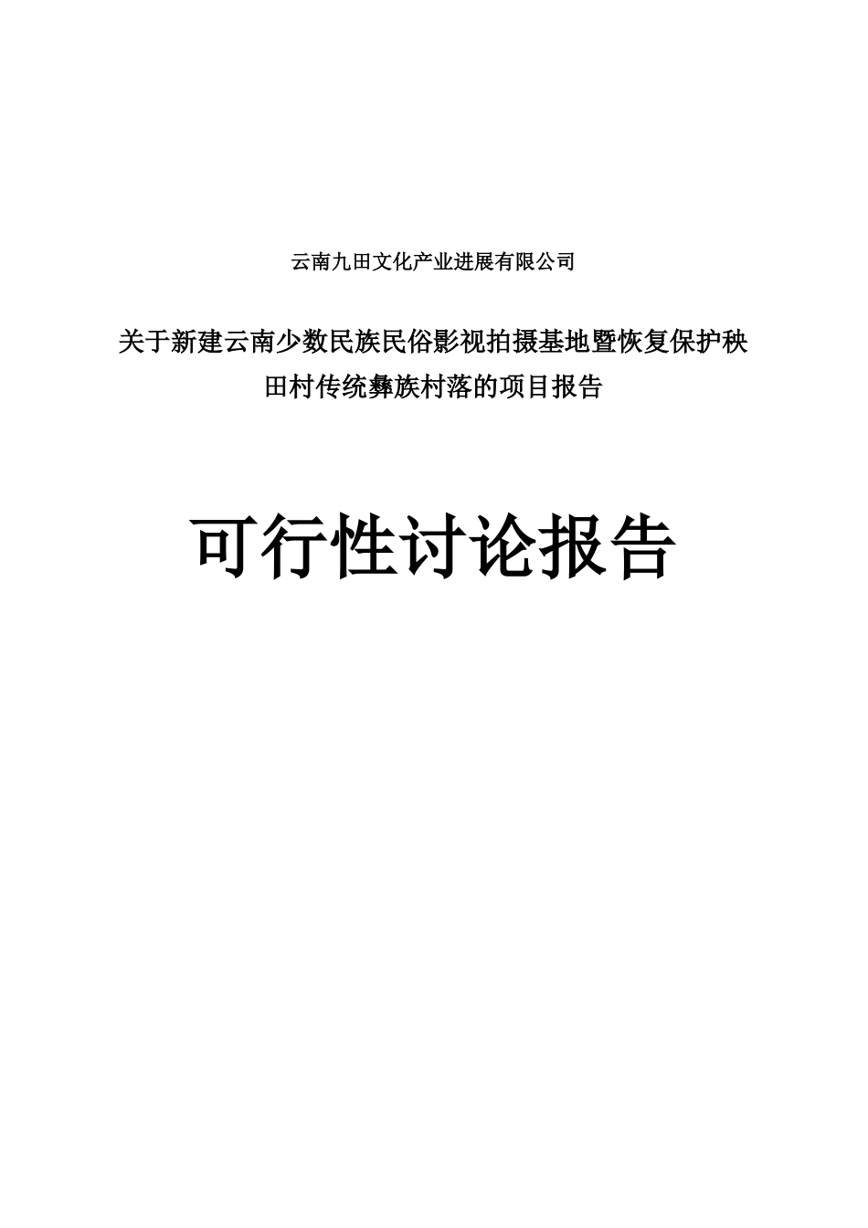 云南省民俗文化影视基地可行性研究报告_第2页