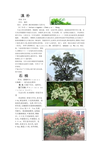 云南绿化常用树种