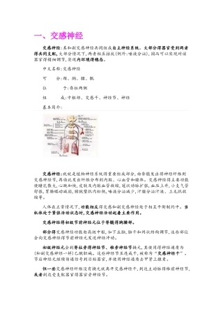 交感神经与副交感神经