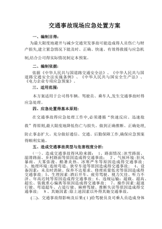 交通事故现场处置方案