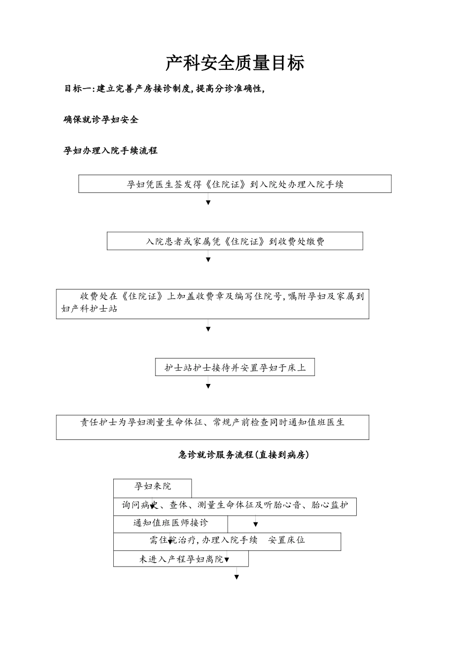 产科十大安全目标的指引与流程_第1页