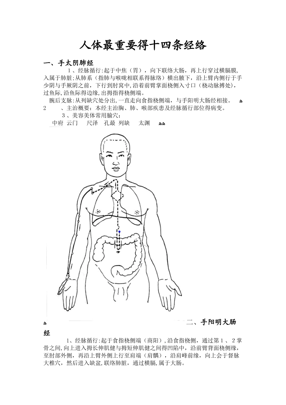人体十四条经络_第1页