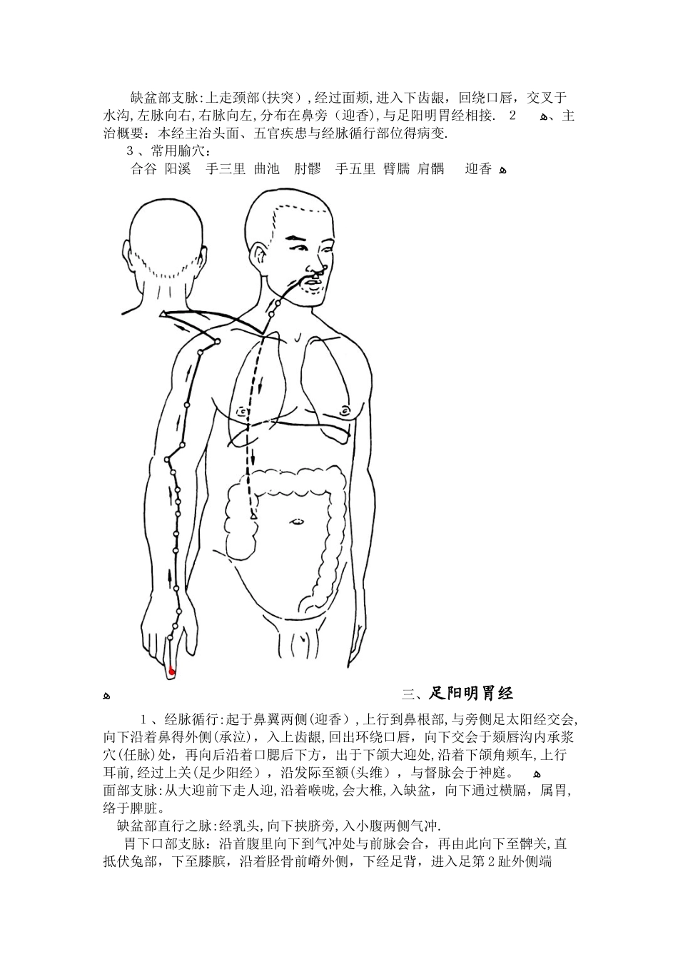人体十四条经络_第2页