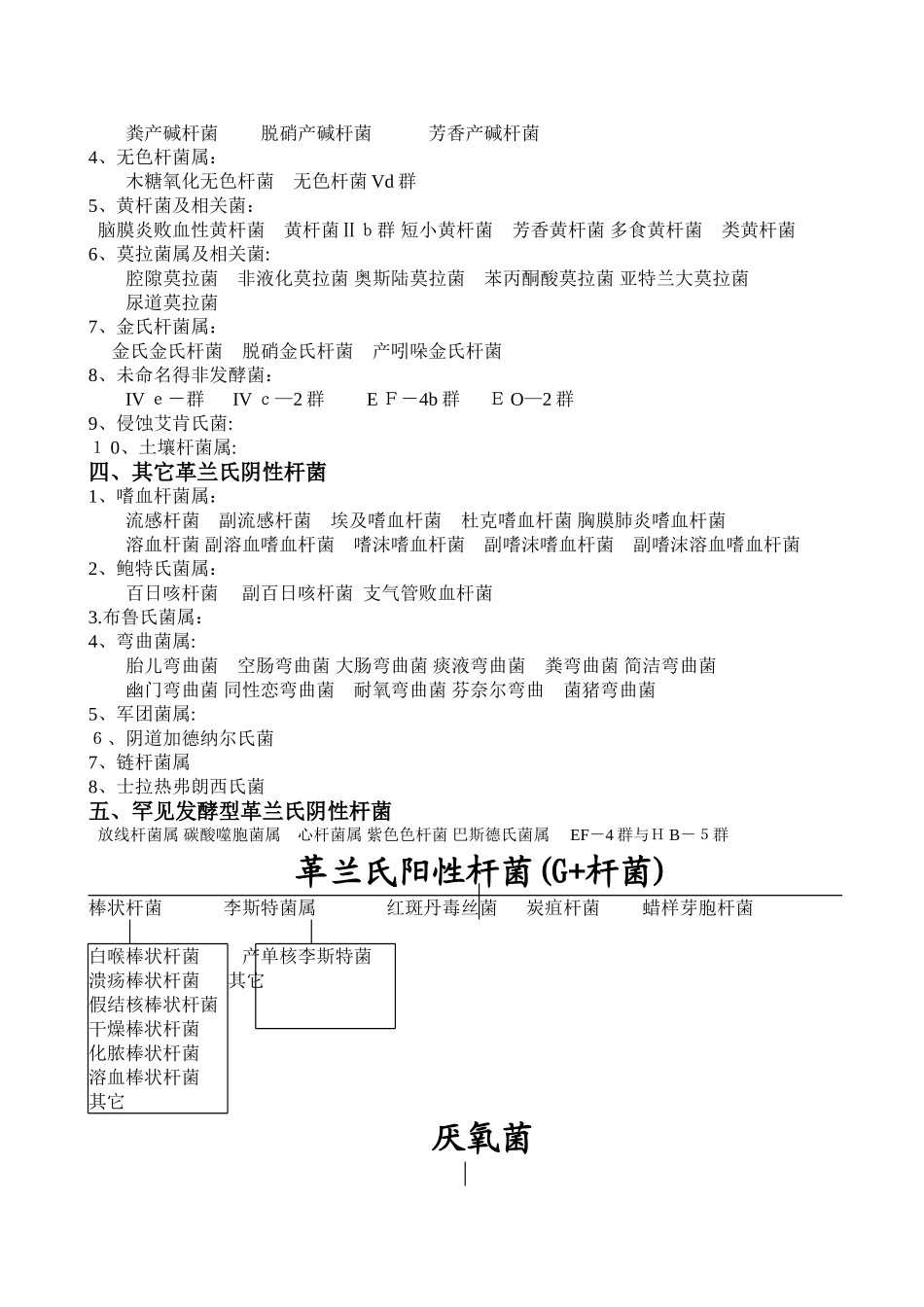 人体正常菌群及常见细菌的分类_第3页
