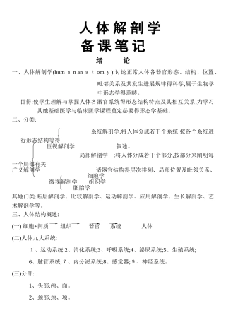 人体解剖学考试重点笔记