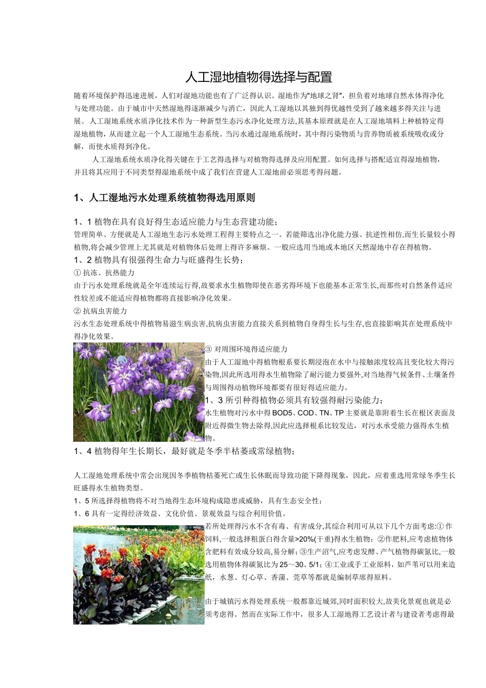 人工湿地植物的选择与配置_第1页