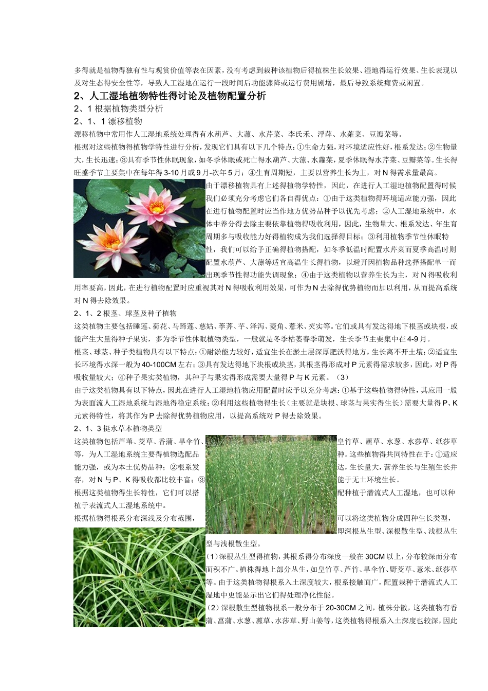 人工湿地植物的选择与配置_第2页