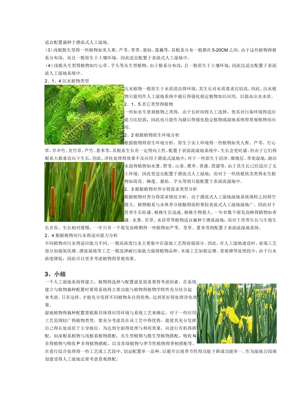 人工湿地植物的选择与配置_第3页