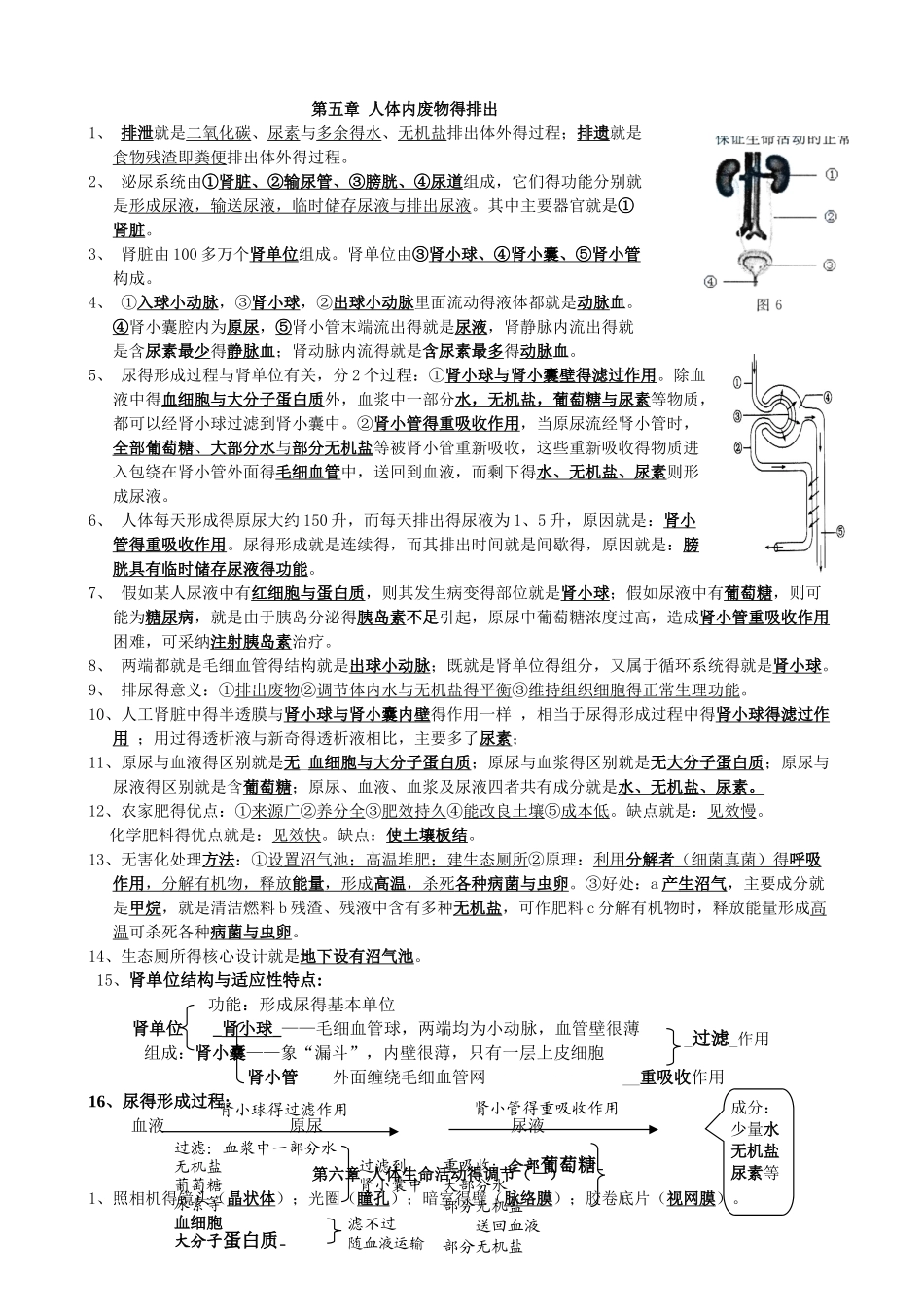 人教版下册七年级生物知识点全套_第1页
